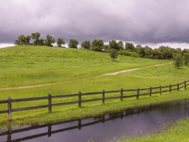 Rural Split Rail Fence